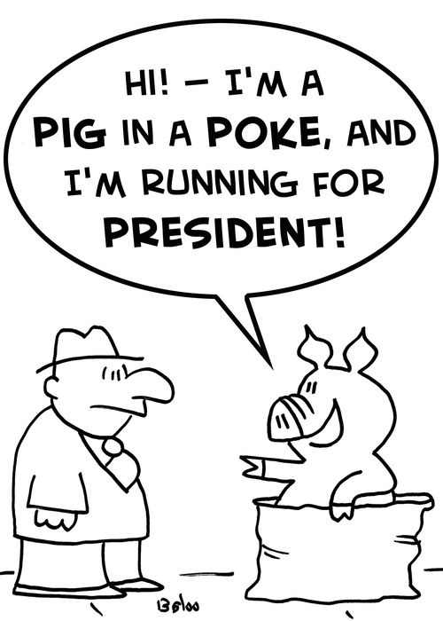 'Hi! -- I'm a pig in a poke, and I'm running for President!'