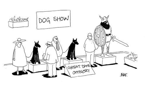 Dog Show: Great Dane Category.