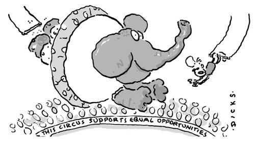 This circus supports Equal Opportunities (trapezing elephant).