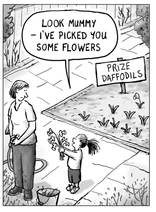 'Look Mummy, I've picked you some flowers.'