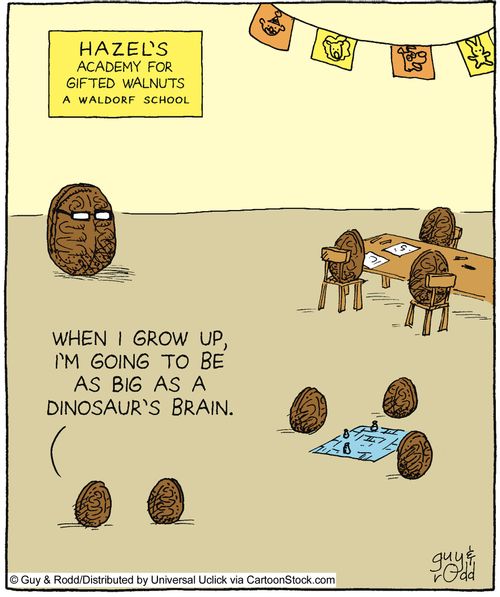 Hazel's academy for gifted walnuts.