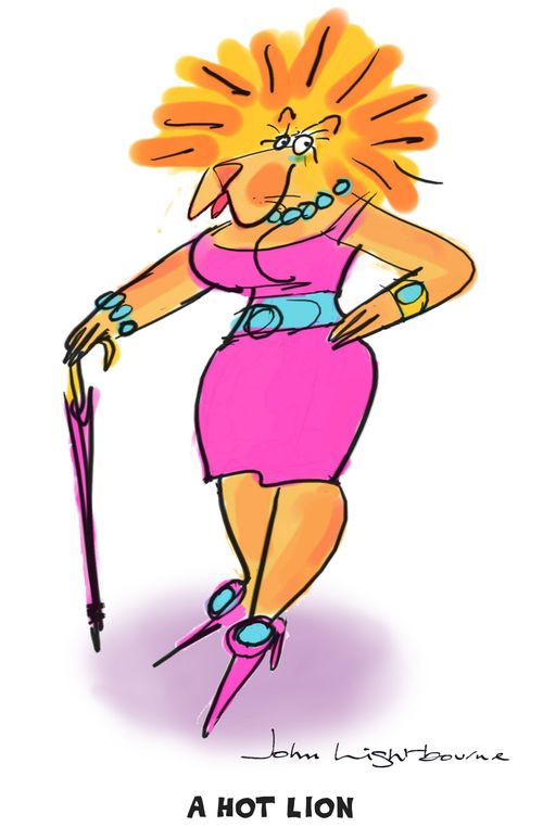 A Hot Lion.