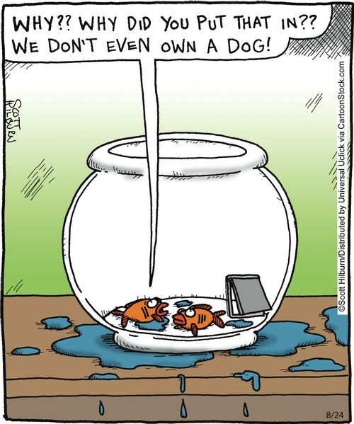 'Why?? Why did you put that in?? We don't even own a dog!'