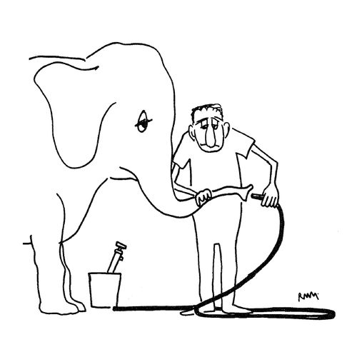 Elephant Trunk and Hose Pipe.