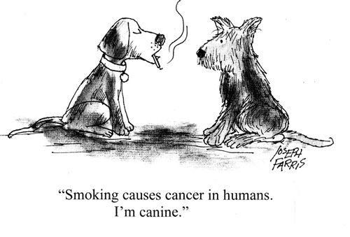 "Smoking causes cancer in humans. I'm canine."