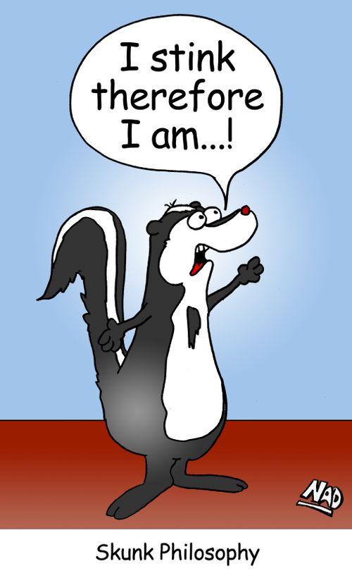 'I stink therefore I am...!'