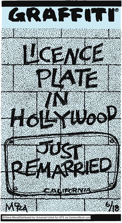 Licence Plate in Hollywood - Just Remarried.