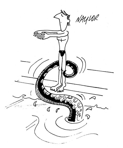 Tentacle attacking diver.