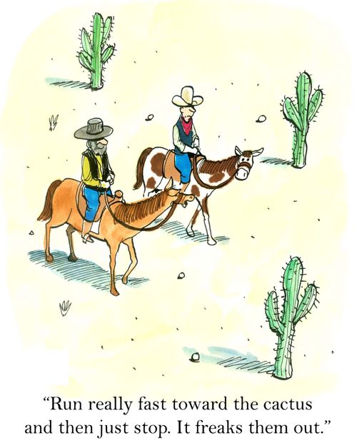'Run really fast toward the cactus and then just stop. It freaks them out.'