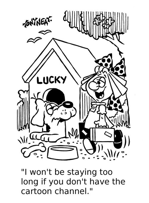 'I won't be staying too long if you don't have the cartoon channel.'