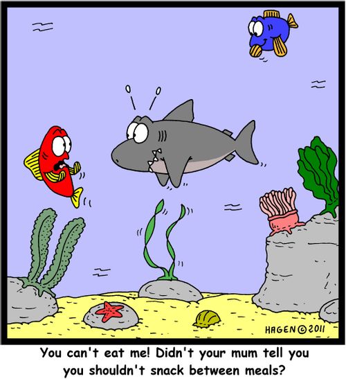 'You can't eat me! Didn't your mum tell you you shouldn't snack between meals?'