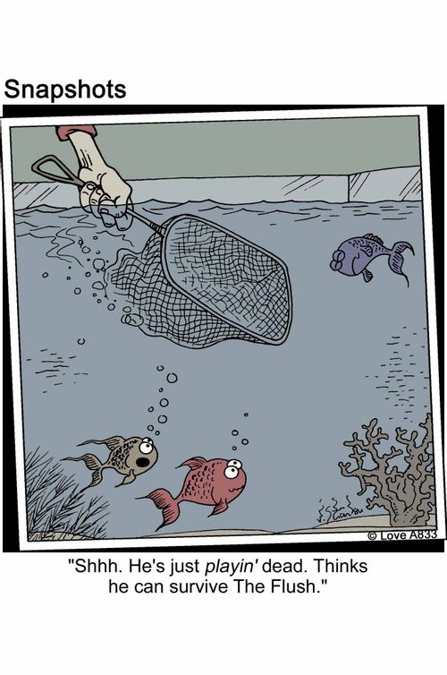 'Shhh. He's just playin' dead. Thinks he can survive the Flush.'