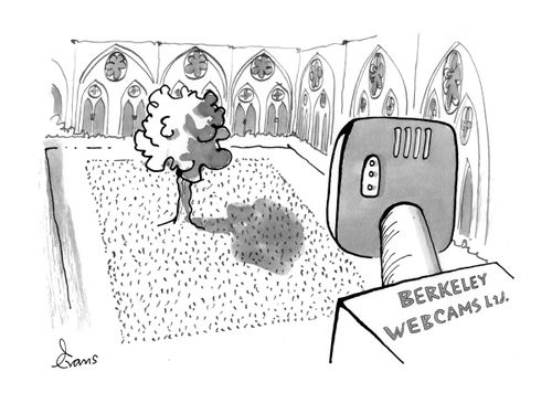 Berkeley Webcams