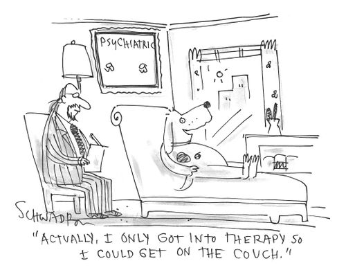 'Actually, I only got into therapy so I could get on the couch.'
