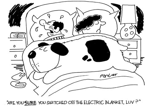 'Are you SURE you switched off the electric blanket, luv?'