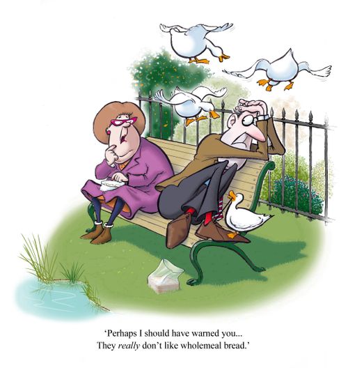 "Perhaps I should have warned you...They really don't like wholemeal bread."