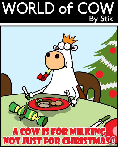 A cow is for milking not just for Christmas!