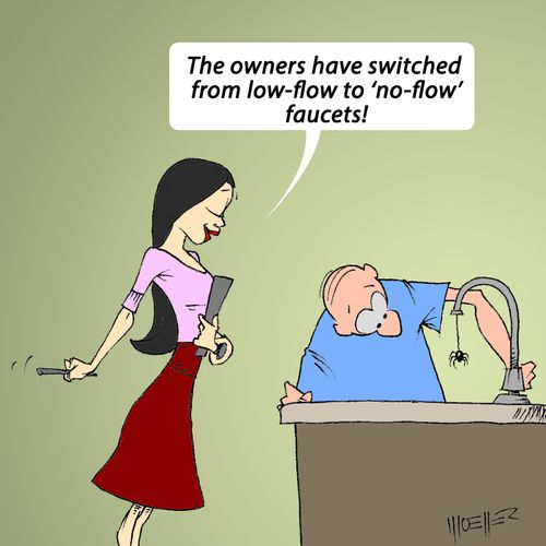 "The owners have switched from low-flow to 'no-flow' faucets!"