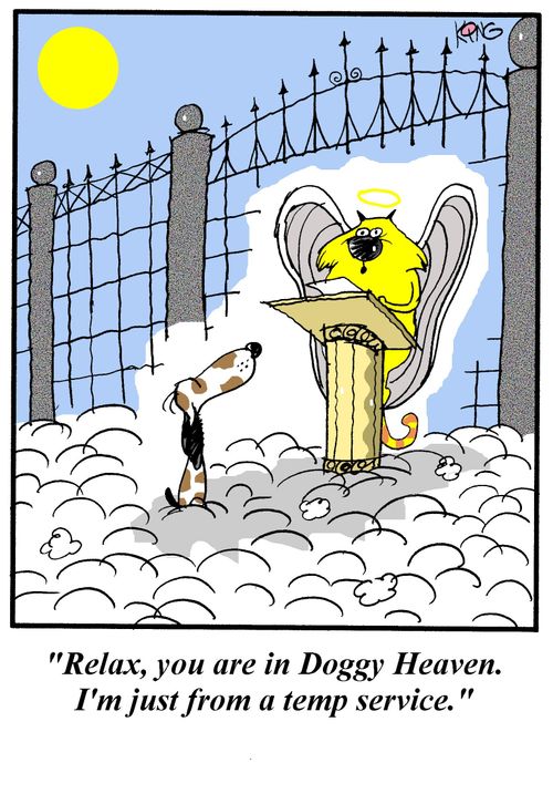 'Relax, you are in doggy heaven.  I'm just from a temp service.'