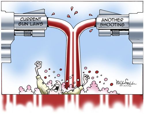 Current Gun Laws and Another Shooting.