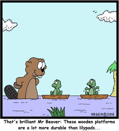 "That's brilliant Mr Beaver: These wooden platforms are a lot more durable than lilypads..."