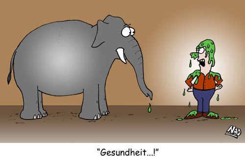 An elephant sneezes all over its trainer - 'Gesundheit...!'