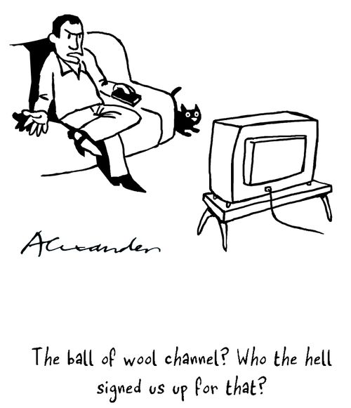 'The ball of wool channel? Who the hell signed us up for that?'