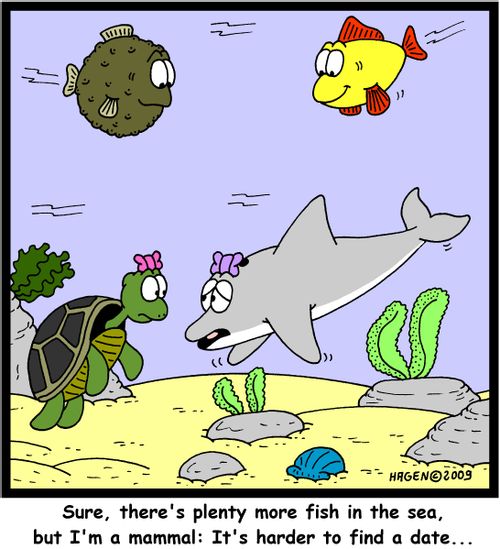 'Sure, there's plenty more fish in the sea, but I'm a mammal: It's harder to find a date...'