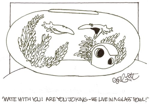 'Mate with you!  Are you joking - we live in a glass bowl!'