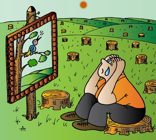 Weeping Over Deforestation.