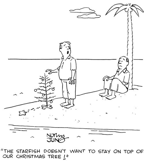 "The starfish doesn't want to stay on top of our Christmas tree!"