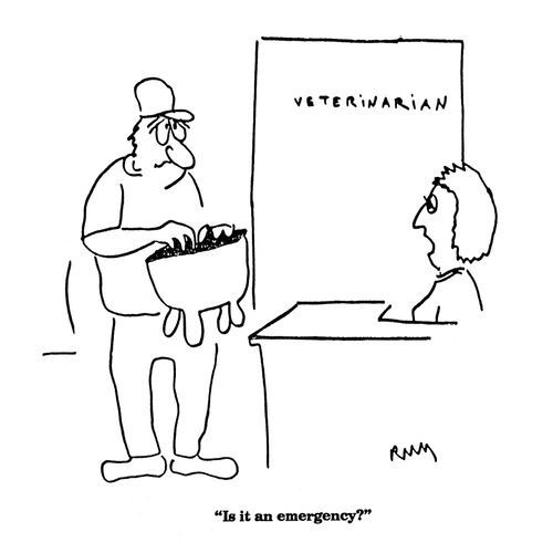 'Is it an emergency?'