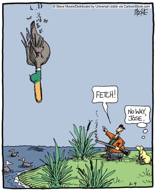 'Fetch'