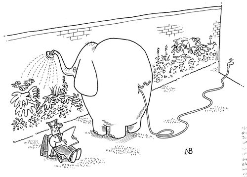 Elephant Sprinkler System