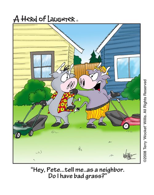 'Hey Pete...tell me...as a neighbor. Do I have bad grass?'