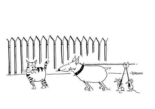 Rats cutting loose a dog so it can chase a cat.
