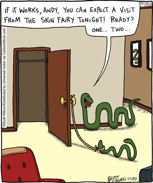 'If it works, Andy, you can expect a visit from the skin fairy tonight, ready?'