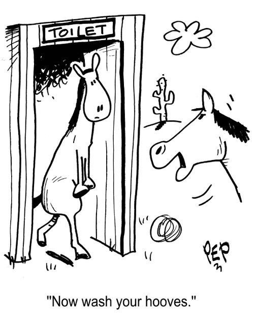 'Now wash your hooves.'