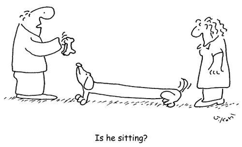 'Is he sitting?'