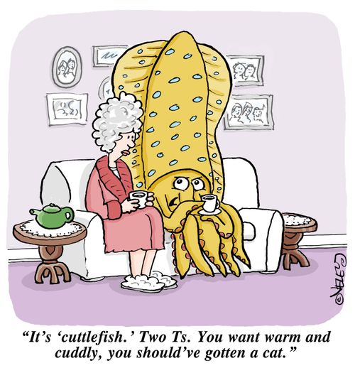 "It's 'cuttlefish.' Two Ts. You want warm and cuddly, you should've gotten a cat!"