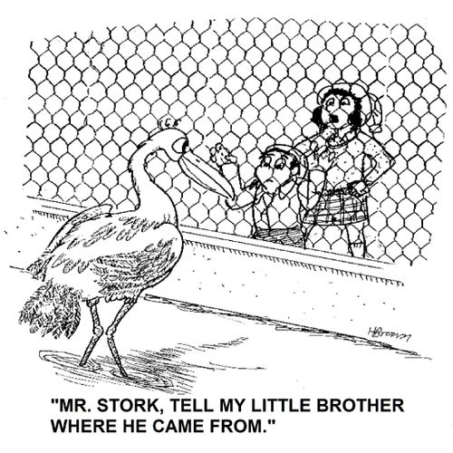 'Mr. Stork, tell my little brother where he came from.'