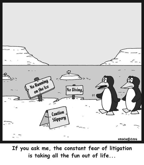 '...the constant fear of litigation is taking all the fun out of life...'