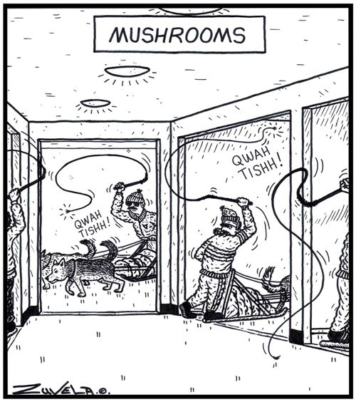 Mushrooms.