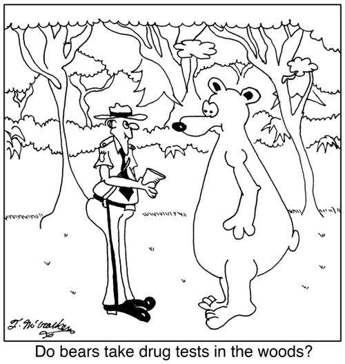 Do bears take drug tests in the woods?