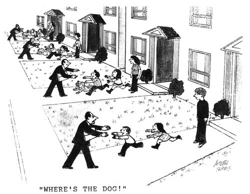 'Where's the dog?'