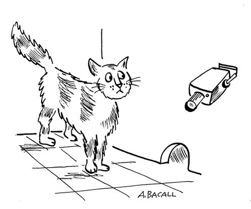Mouse CCTV.