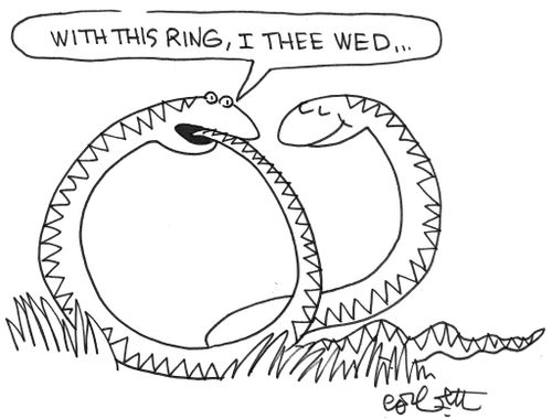 with this ring, I thee wed...