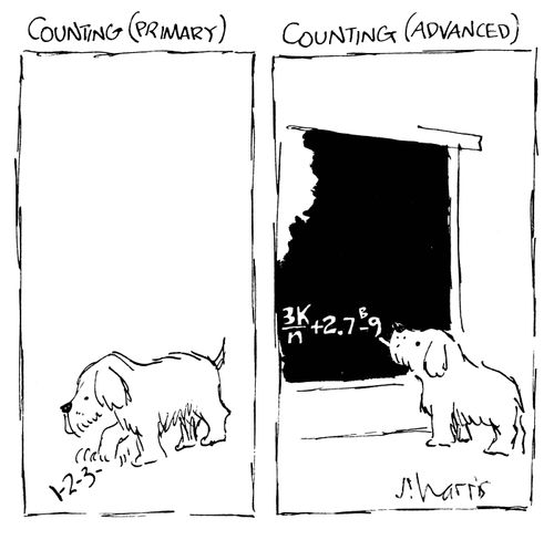 Counting (primary) Counting (advanced).
