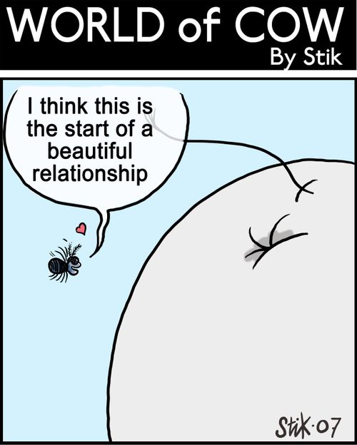 I think this is the start of a beautiful relationship...