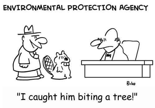 'I caught him biting a tree!'